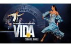 VIDA - Siga el baile