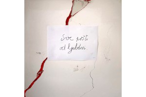 „sve pršti od ljubavi / „alles platzt vor liebe“ Variationen