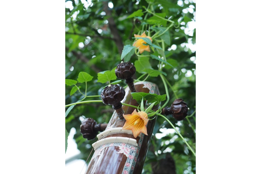 Sujet der Veranstaltung