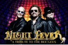 Night Fever - A Tribute to the BEE GEES