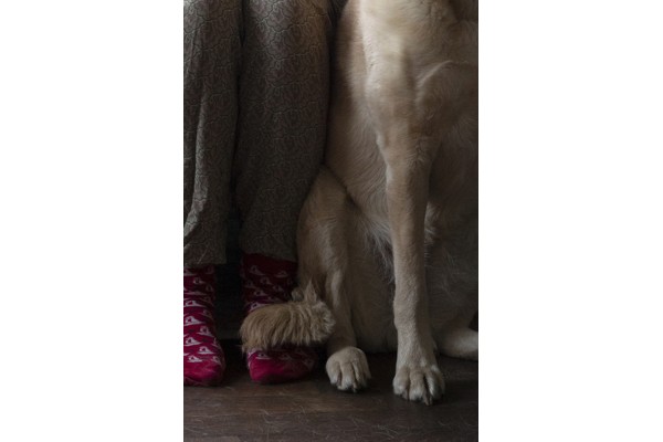 Hyejeong Yoo, a language before language