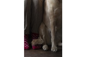 Hyejeong Yoo, a language before language