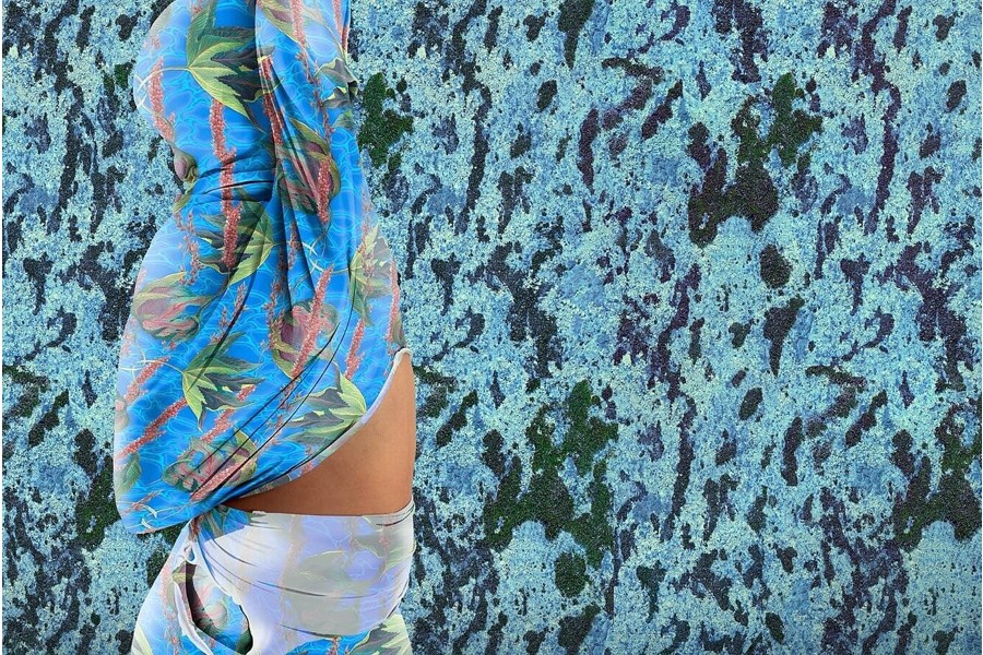 Joiri Minaya, Shield, 2022