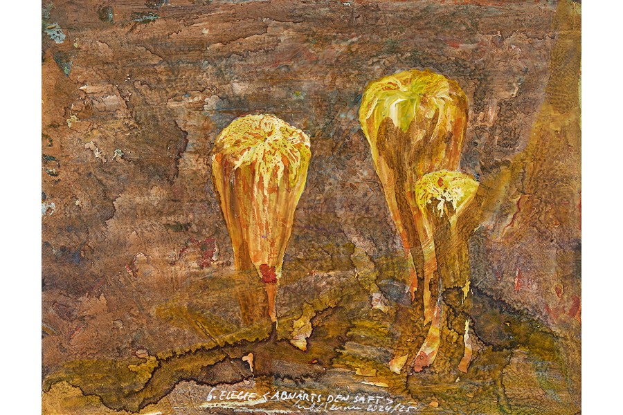 Paul Renner, 6 Elegie, ABWÄRTS DEN SAFT