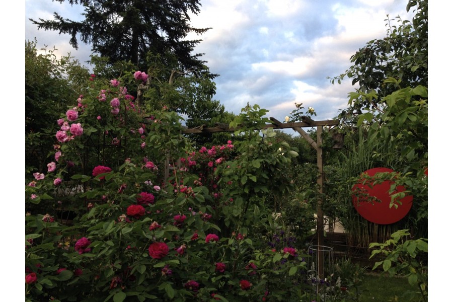 Anna Gerlitz-Ottitsch_MONDIAL & Mairosen