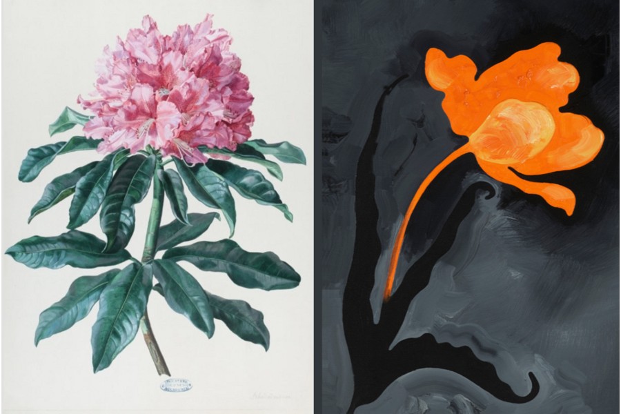 Foto: Rhododendron, anonym, Foto: Universalmusem Joanneum rechts: Markus Huemer, Gelbgrüner Monster-Virus, 2021 Privatsammlung © Bildrecht Wien, 2025 Rhododendron, anonym, Foto: Universalmusem Joanneum rechts: Markus Huemer, Gelbgrüner Monster-Virus, 2021 Privatsammlung © Bildrecht Wien, 2025