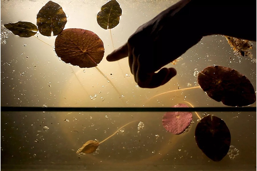 Foto: Candela Sotos, Yrupẽ, 2025, Filmstill Yrupe, Candela Sotos, 2025