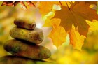 Sich aus der Stille wandeln: Einführung in die Meditation (Kontemplation)