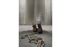 Narges Babaei - What Remains