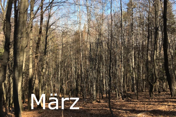 März 